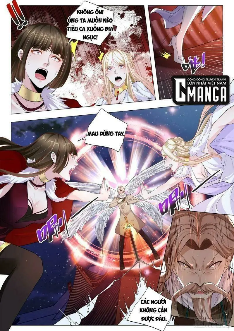 Chapter 404