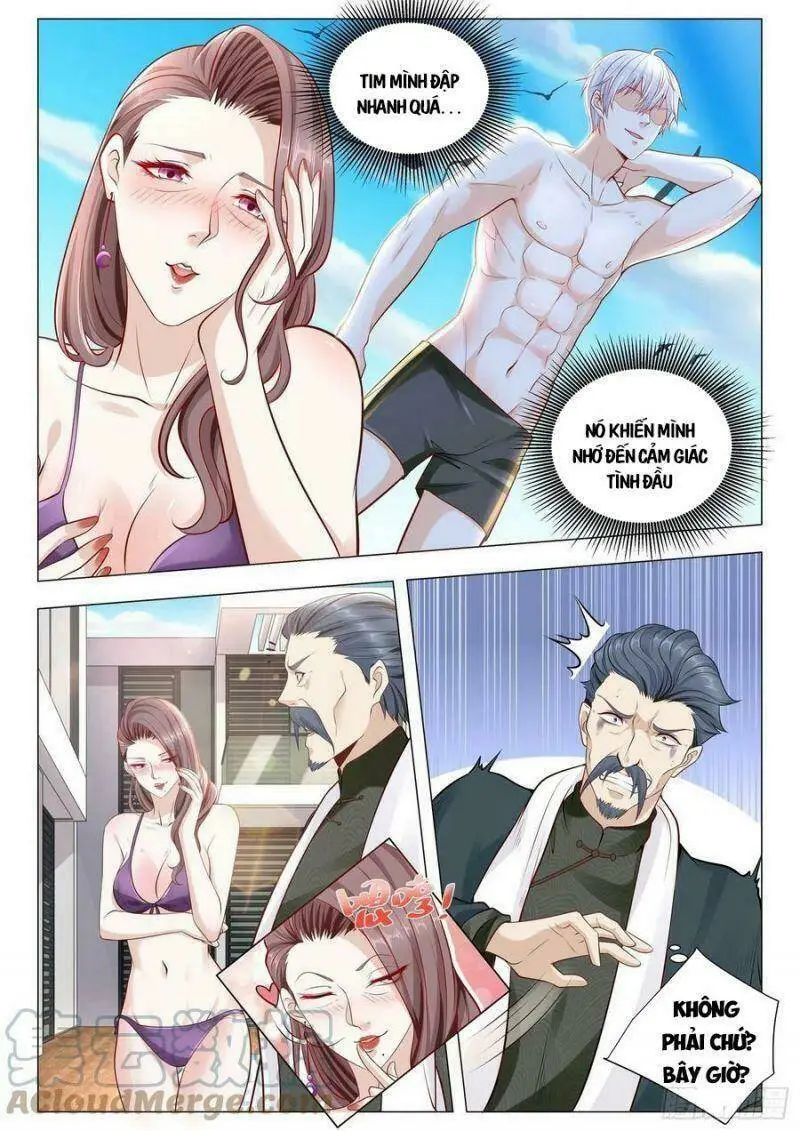 Chapter 382