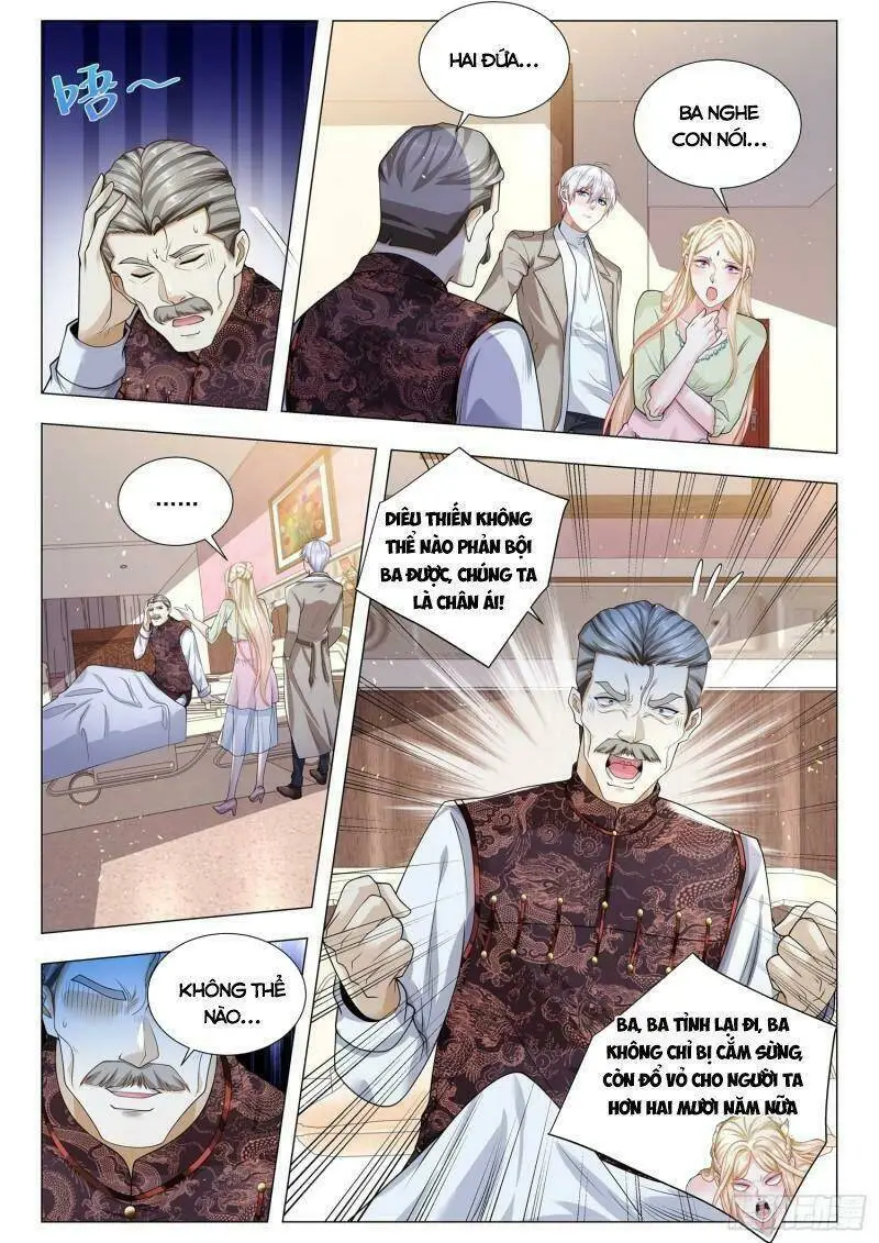 Chapter 381