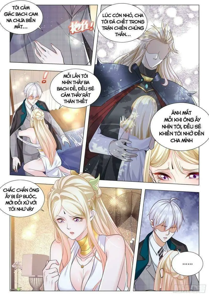 Chapter 381