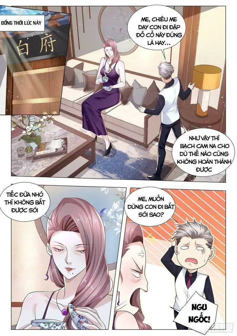 Chapter 377