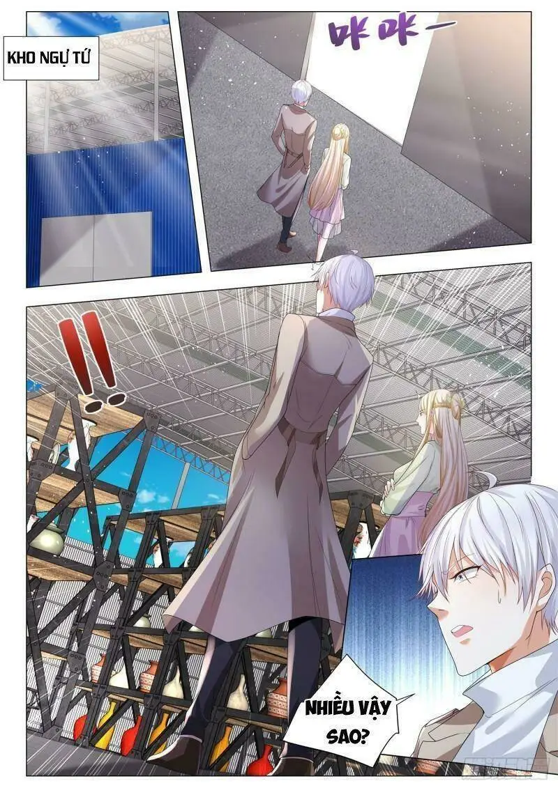 Chapter 371