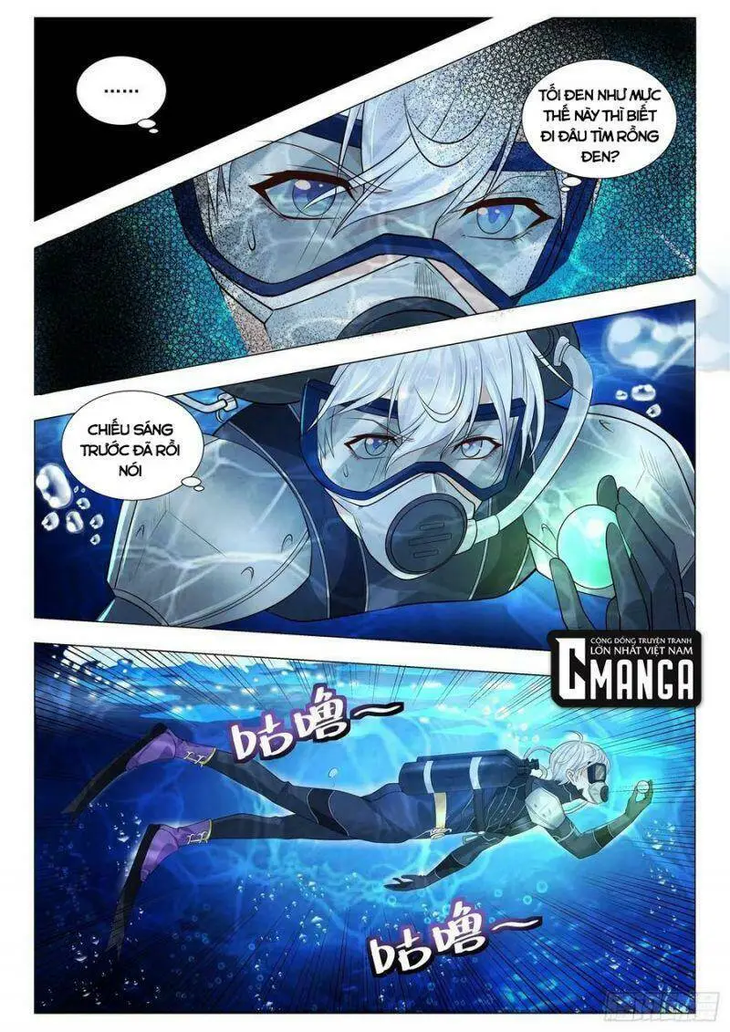 Chapter 366