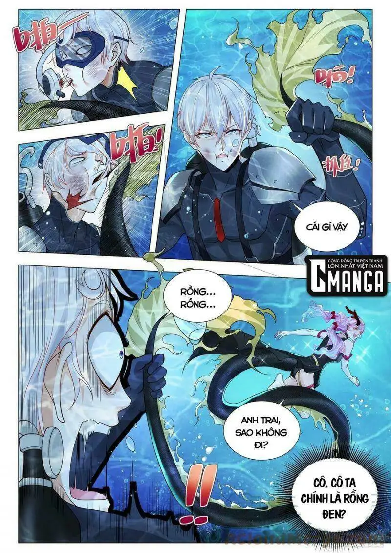 Chapter 366