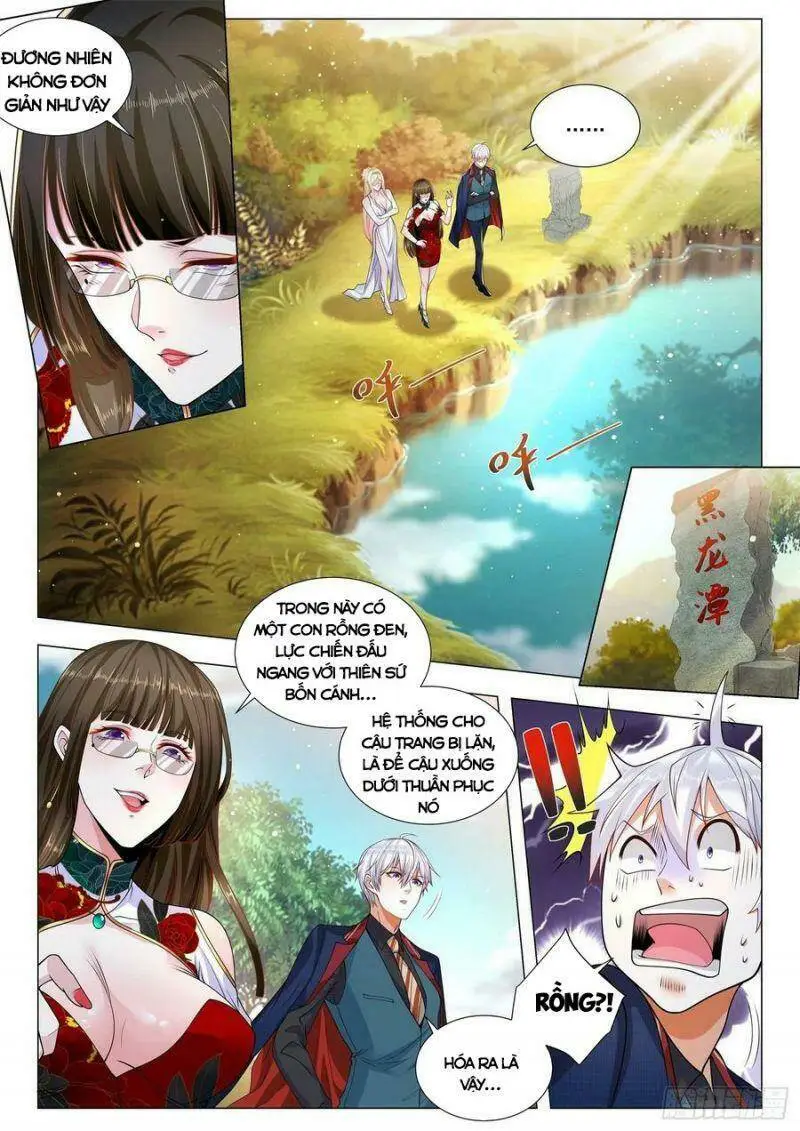 Chapter 365