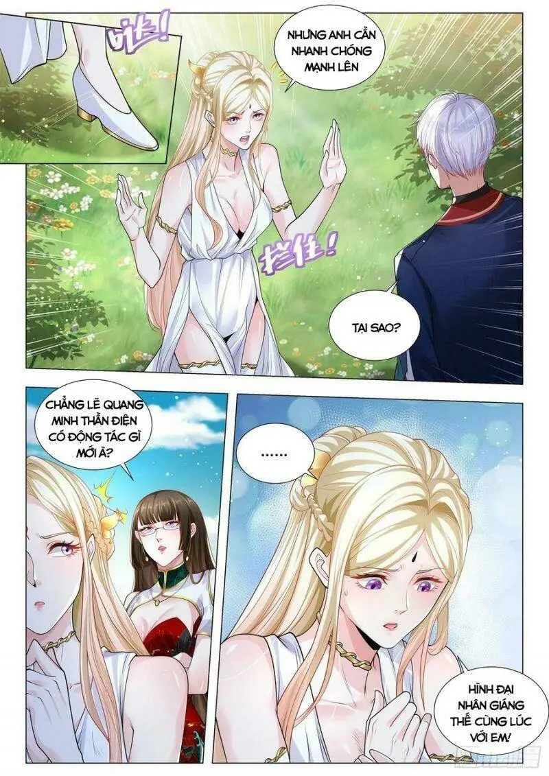 Chapter 365