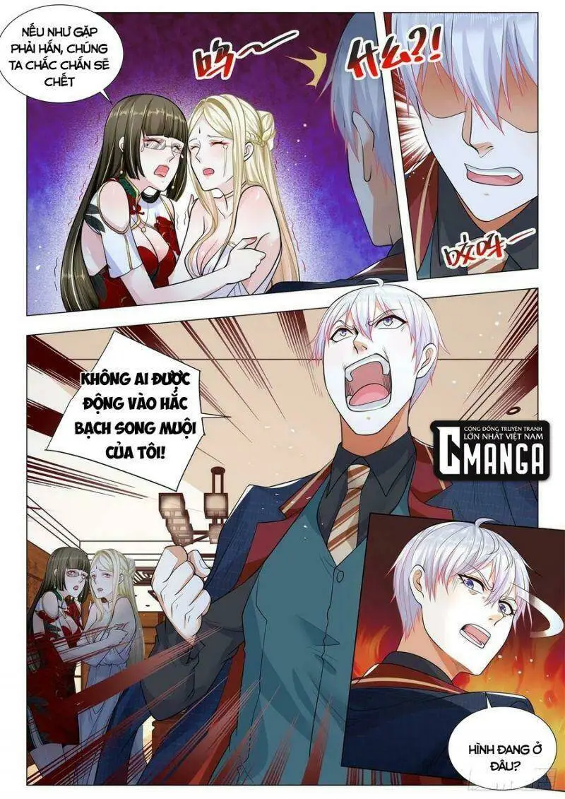 Chapter 365