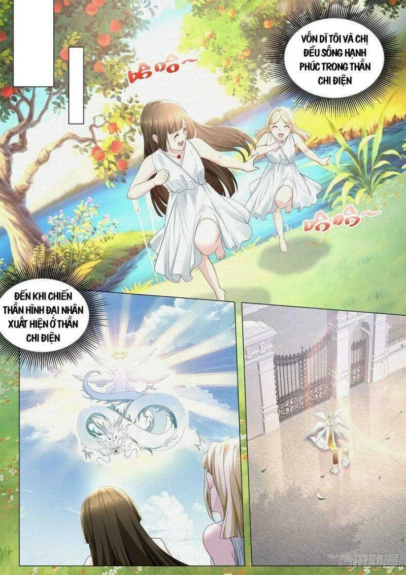 Chapter 364