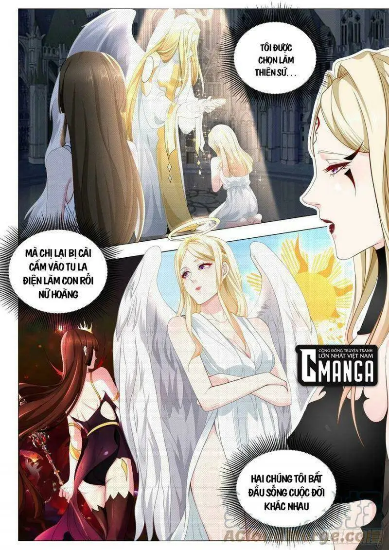 Chapter 364