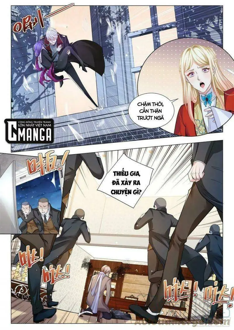 Chapter 361