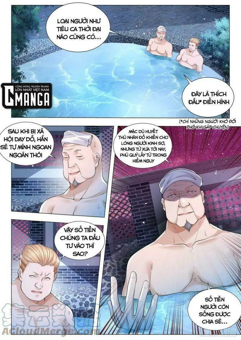 Chapter 356