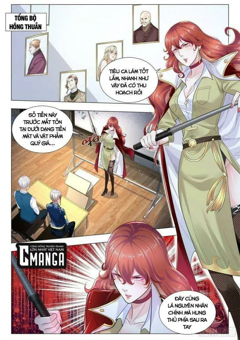 Chapter 355