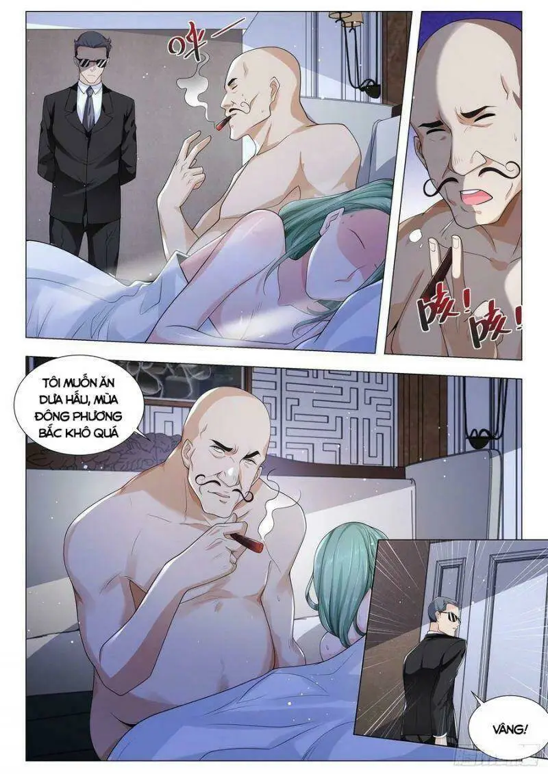 Chapter 355