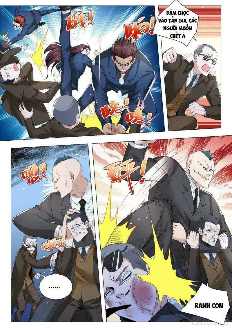 Chapter 339