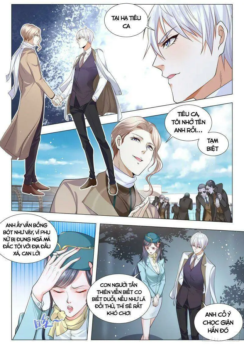 Chapter 339