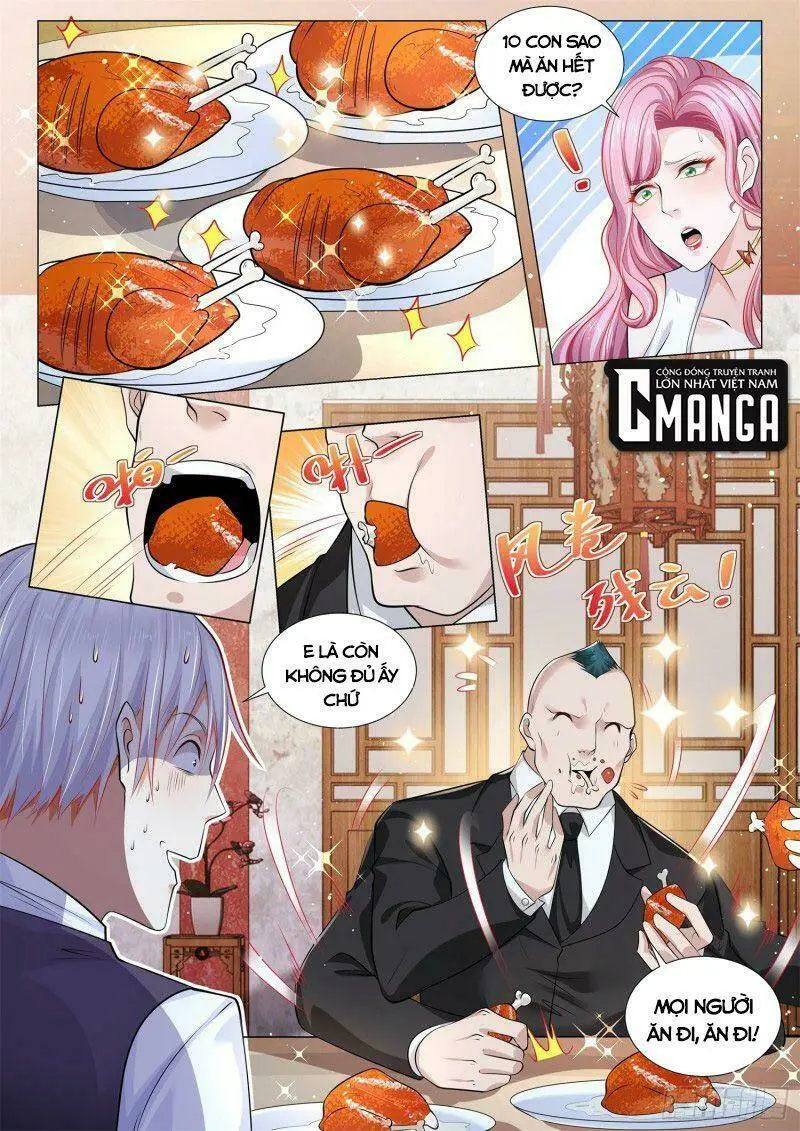 Chapter 339