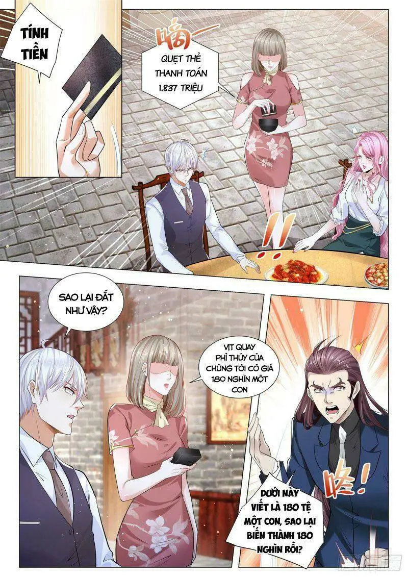 Chapter 339