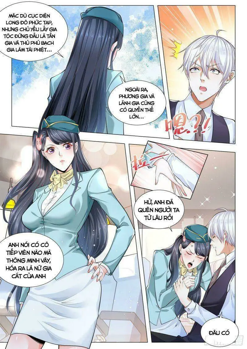 Chapter 338