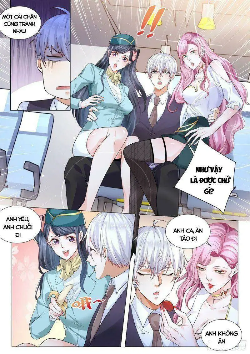 Chapter 338