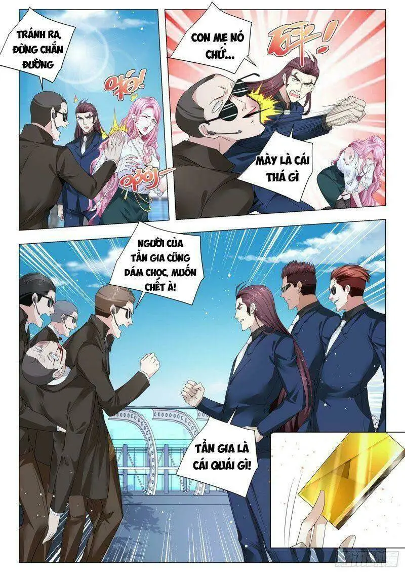 Chapter 338