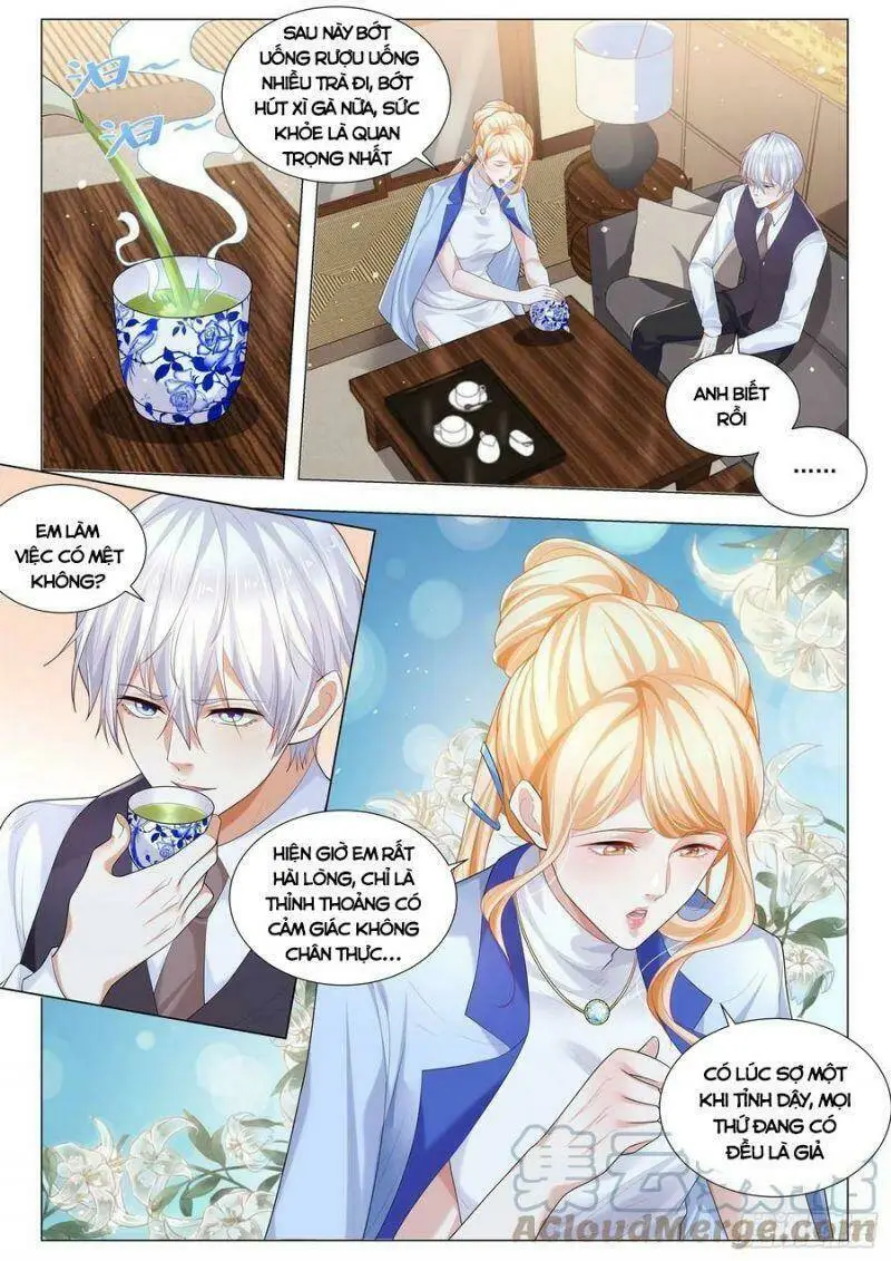 Chapter 337