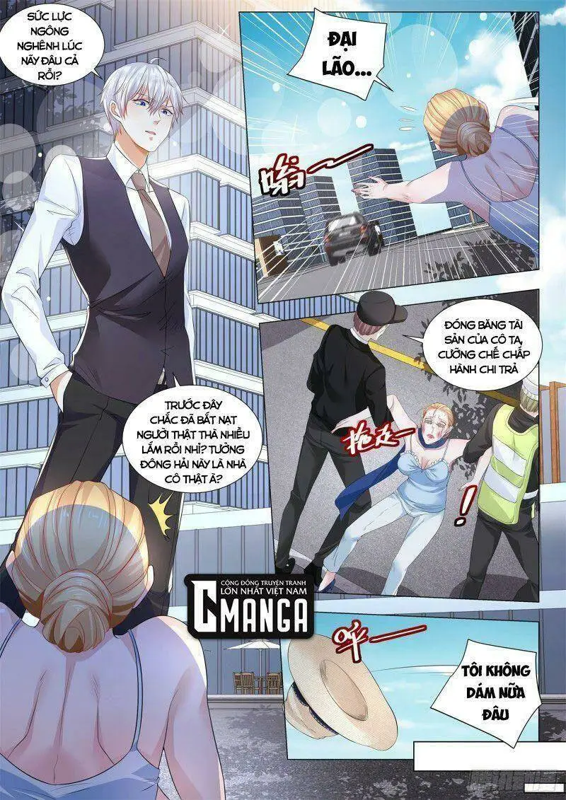 Chapter 336