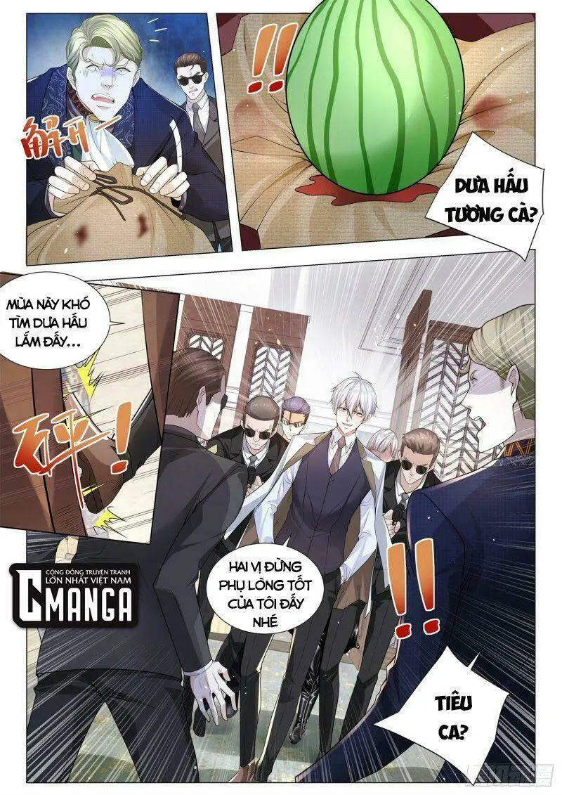 Chapter 335