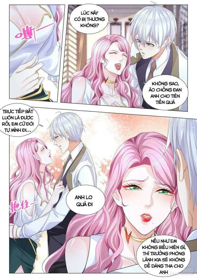 Chapter 335