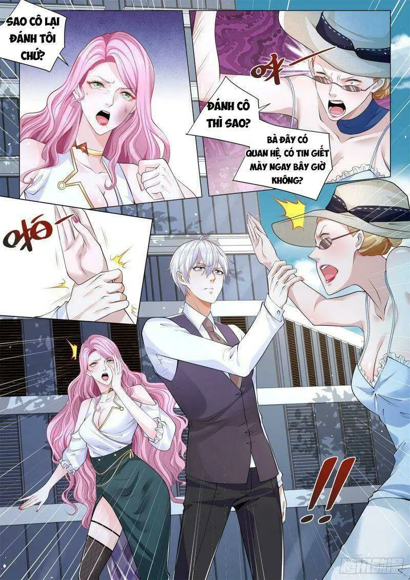 Chapter 335