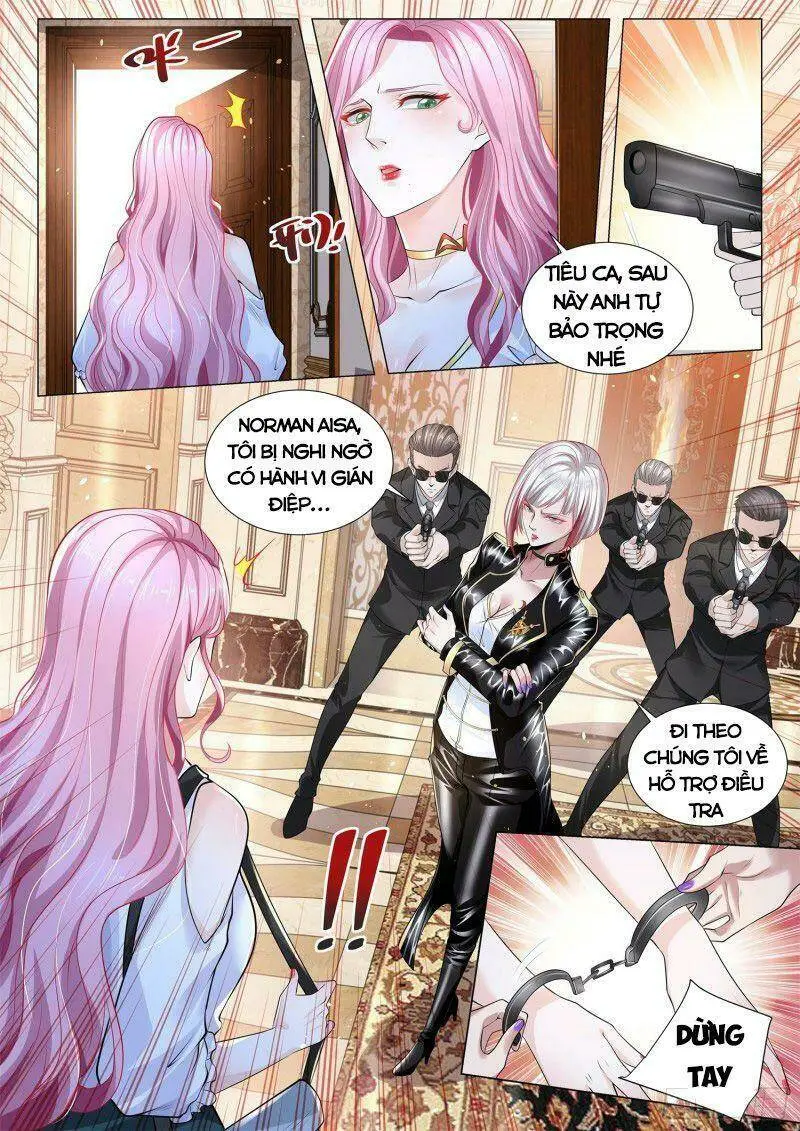 Chapter 334