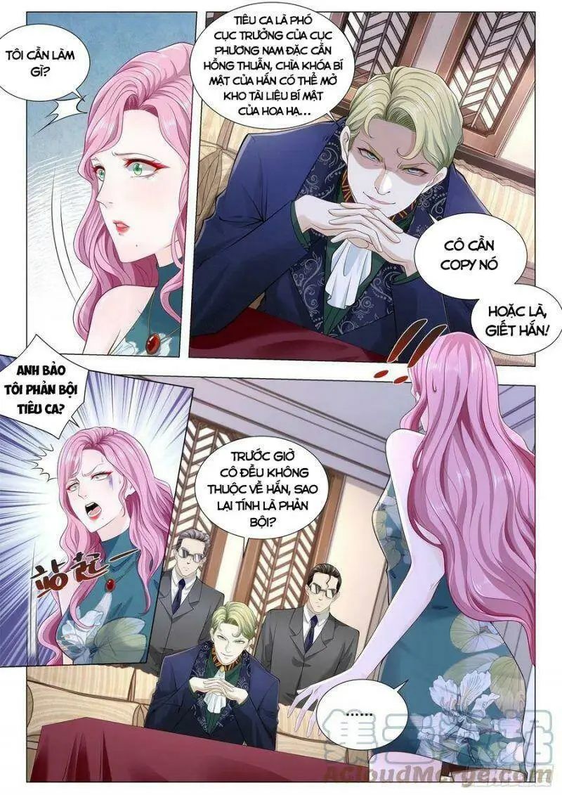 Chapter 333