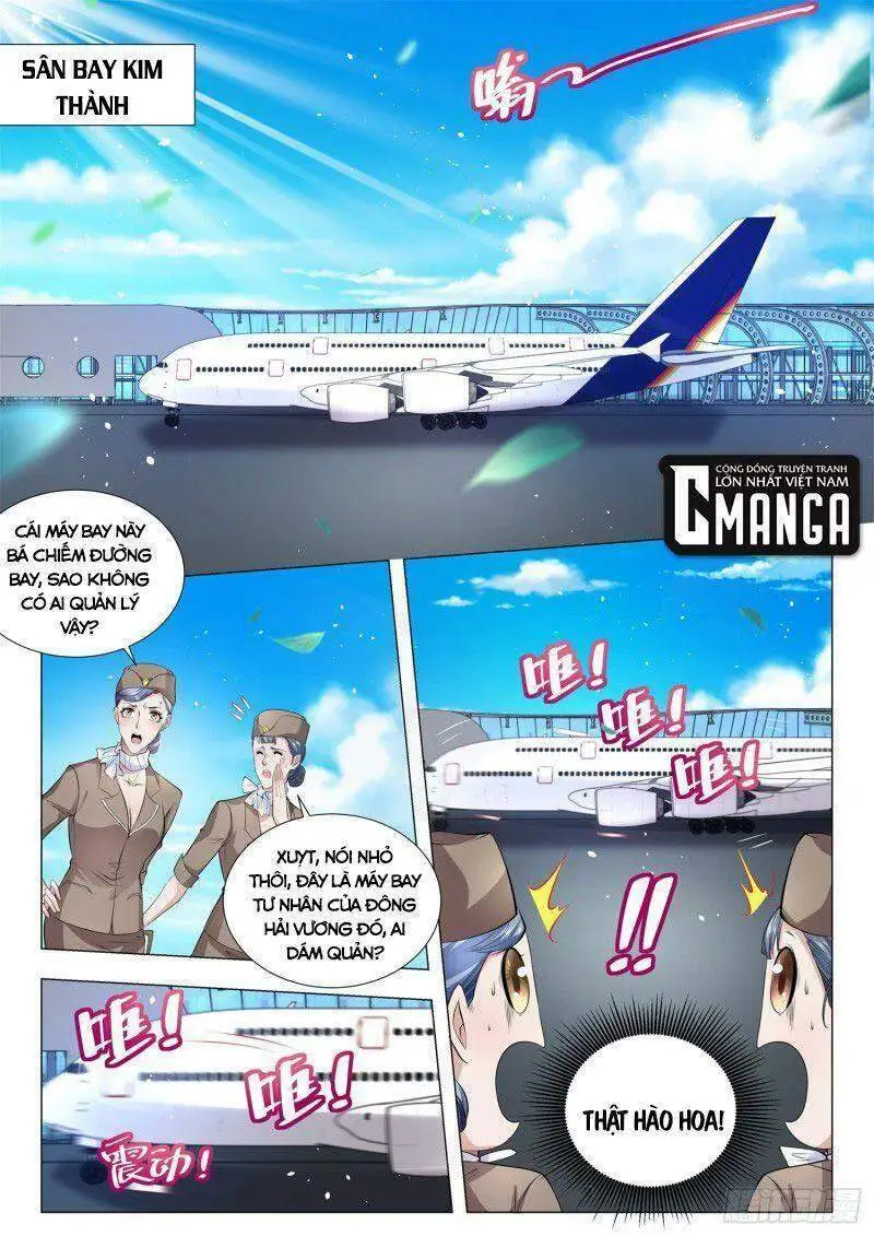 Chapter 331