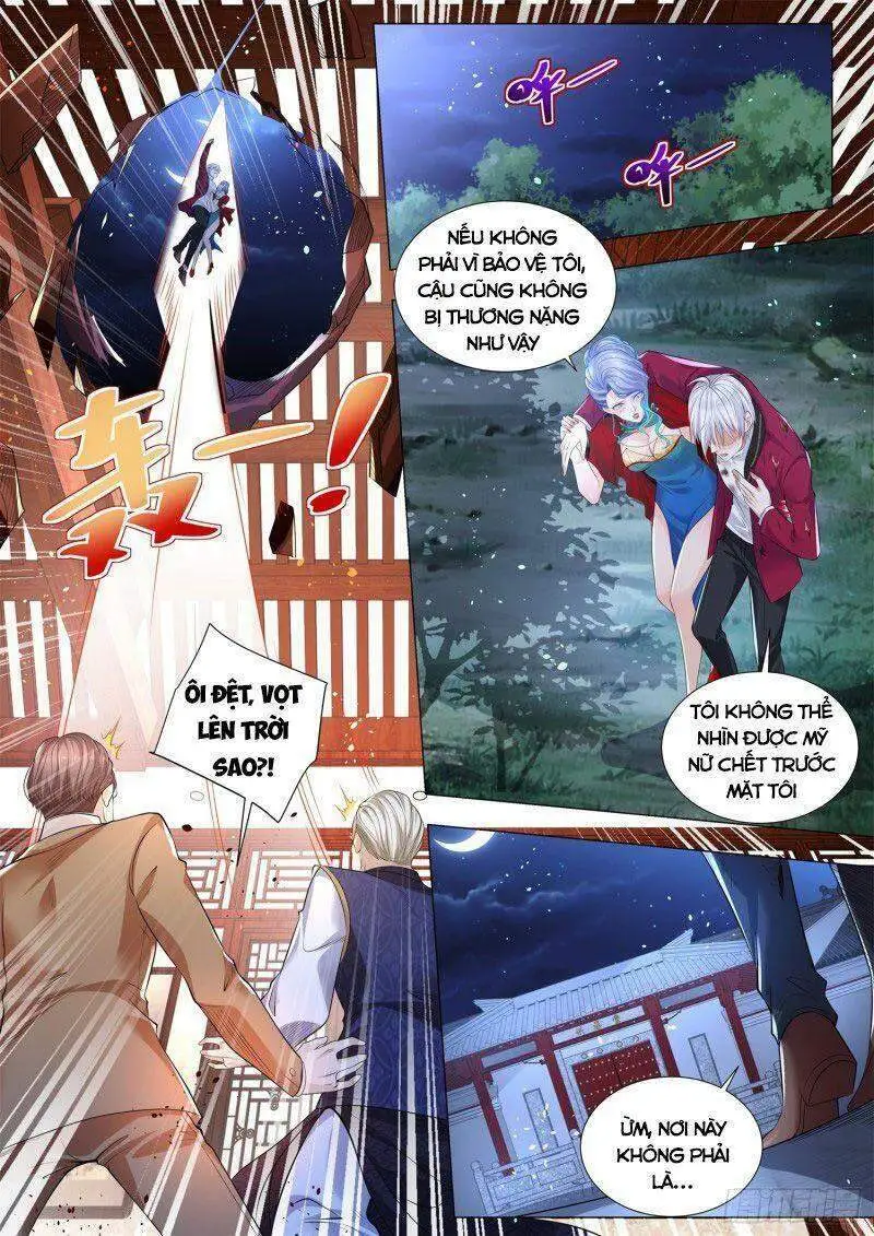 Chapter 325
