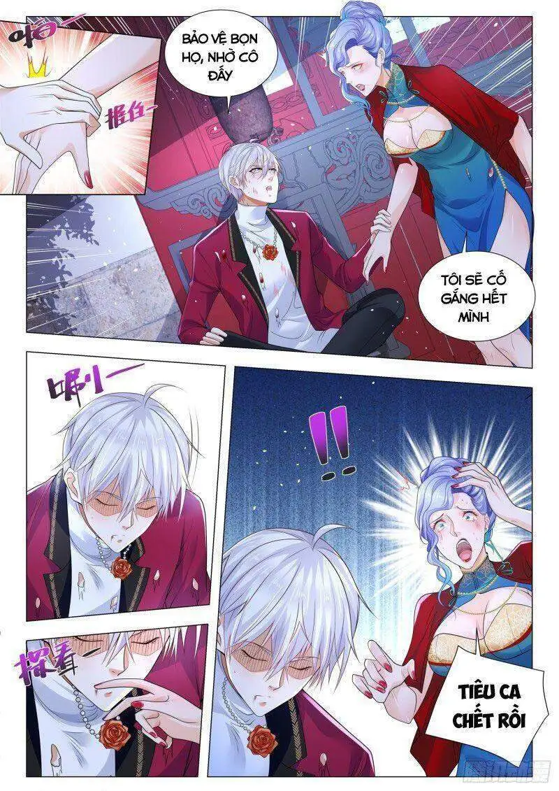 Chapter 325