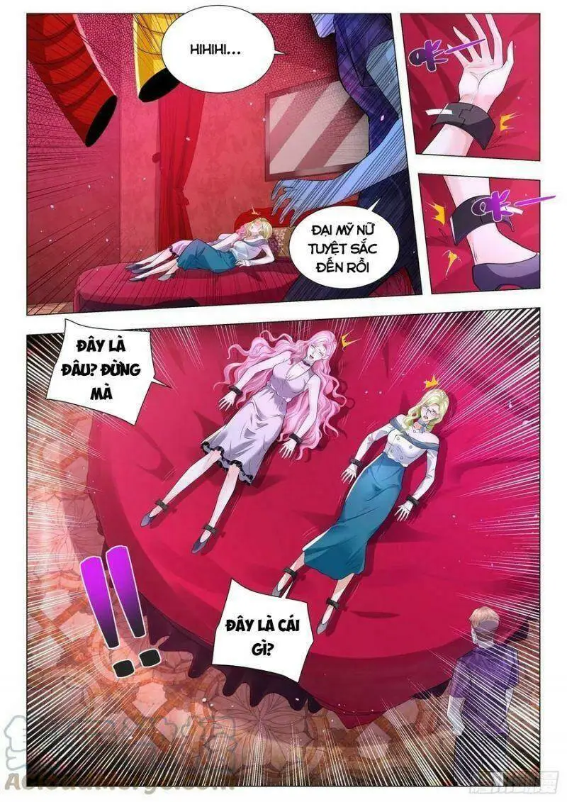 Chapter 321