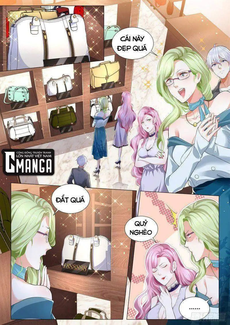 Chapter 320