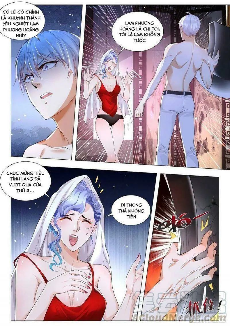Chapter 309