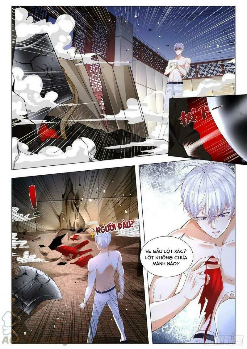 Chapter 309