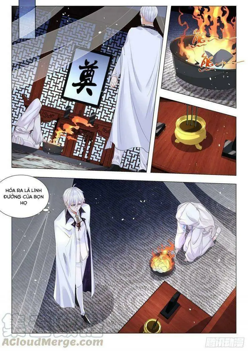 Chapter 308