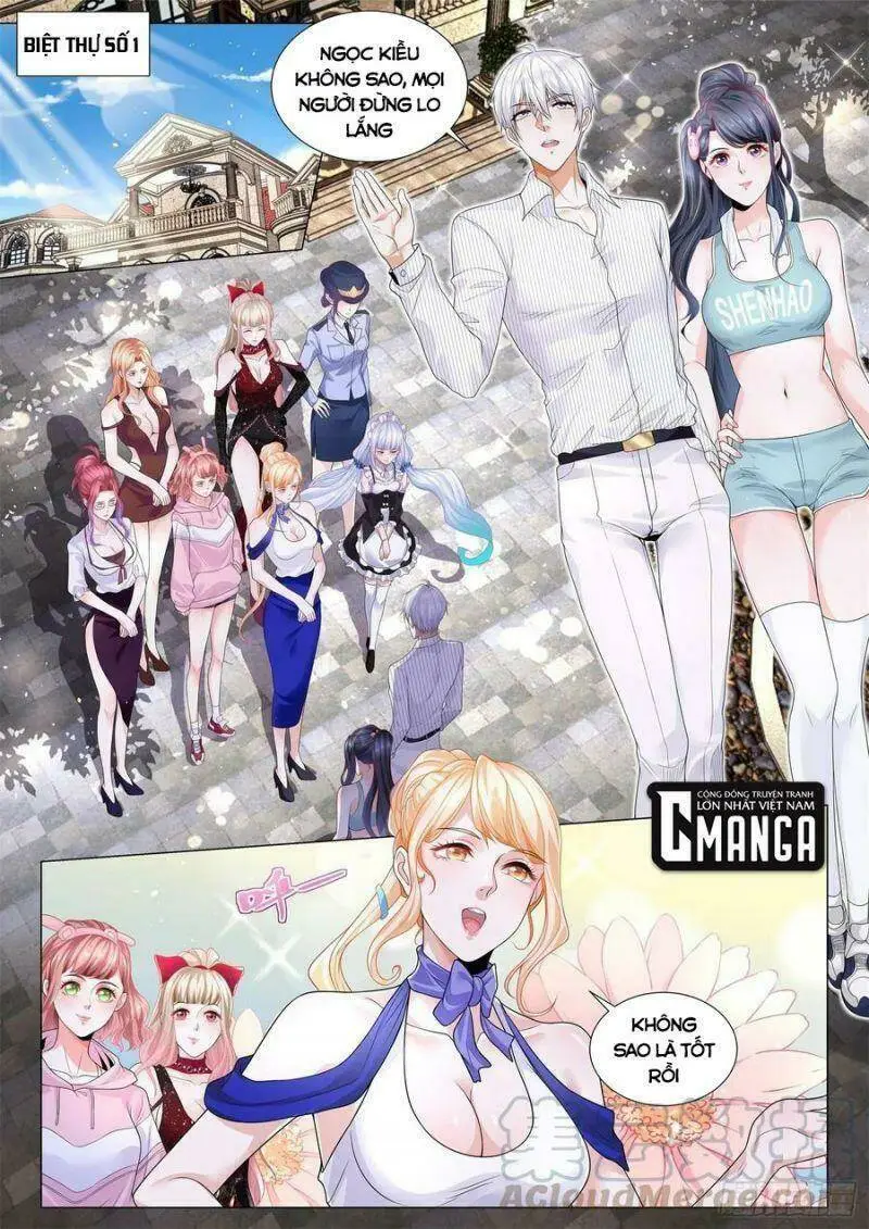 Chapter 306