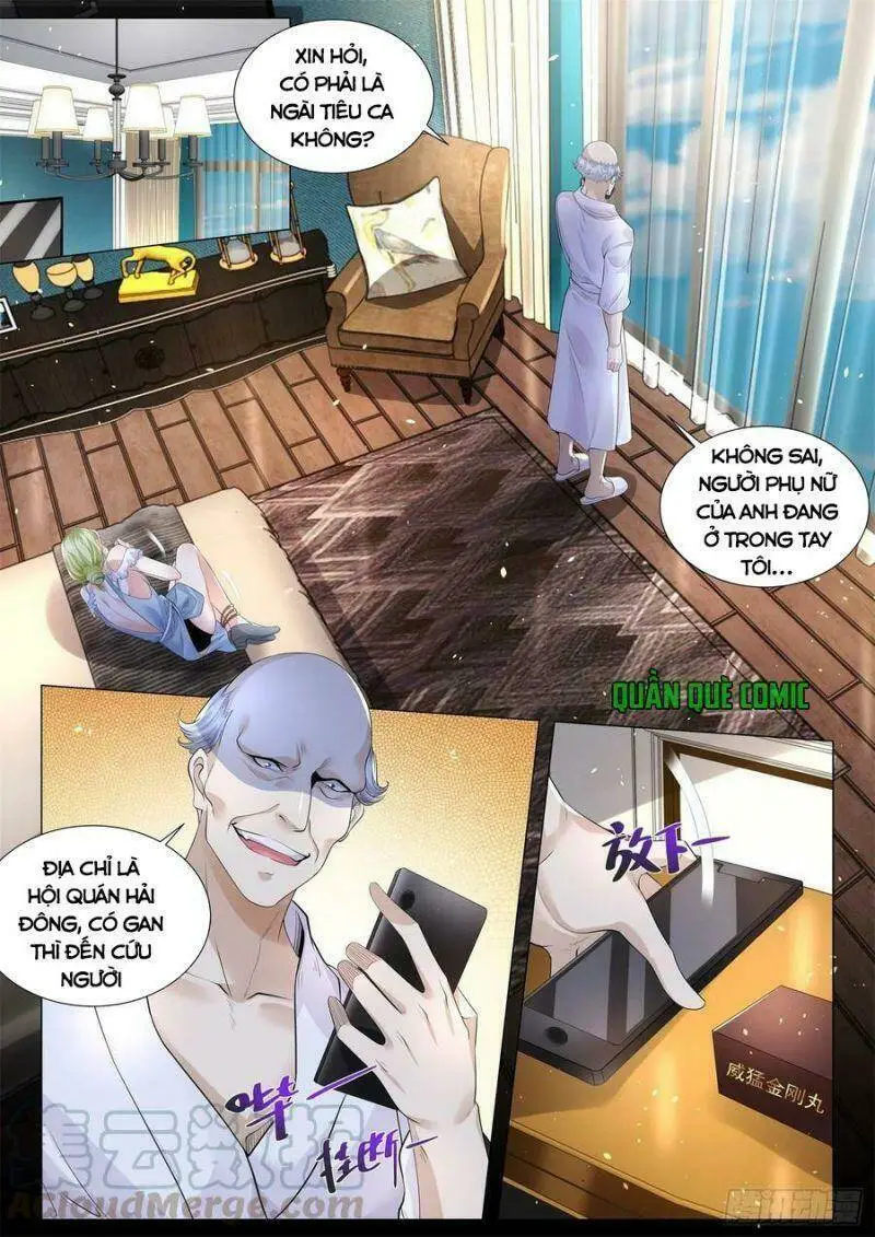 Chapter 306