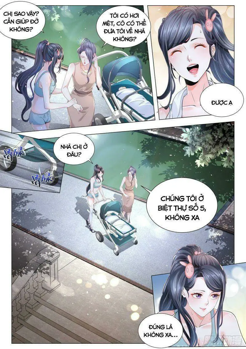 Chapter 305