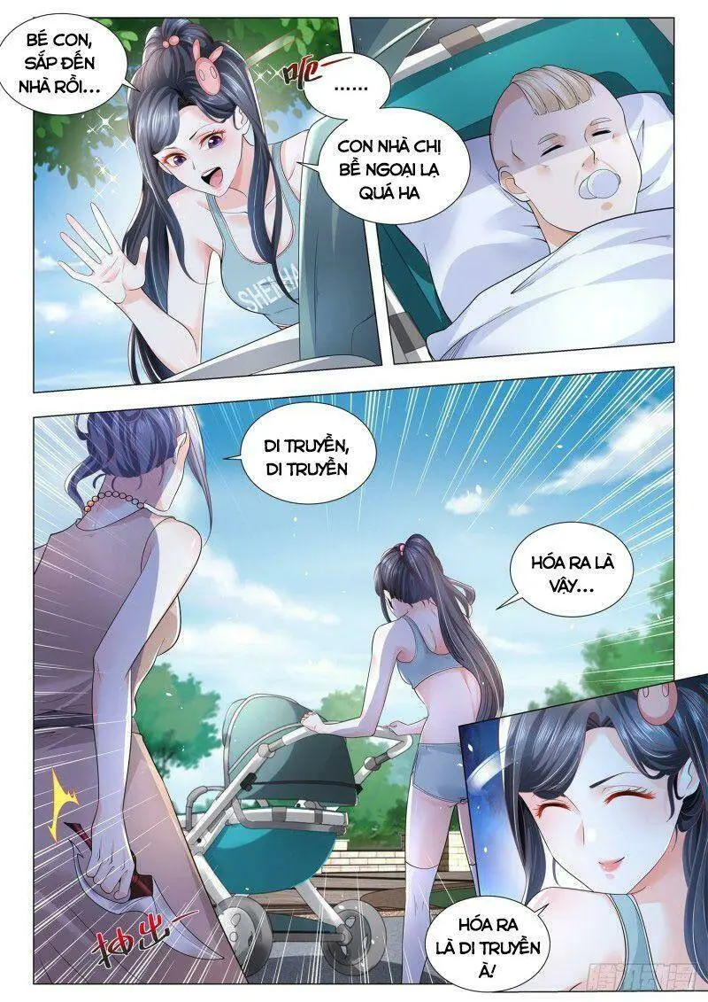 Chapter 305