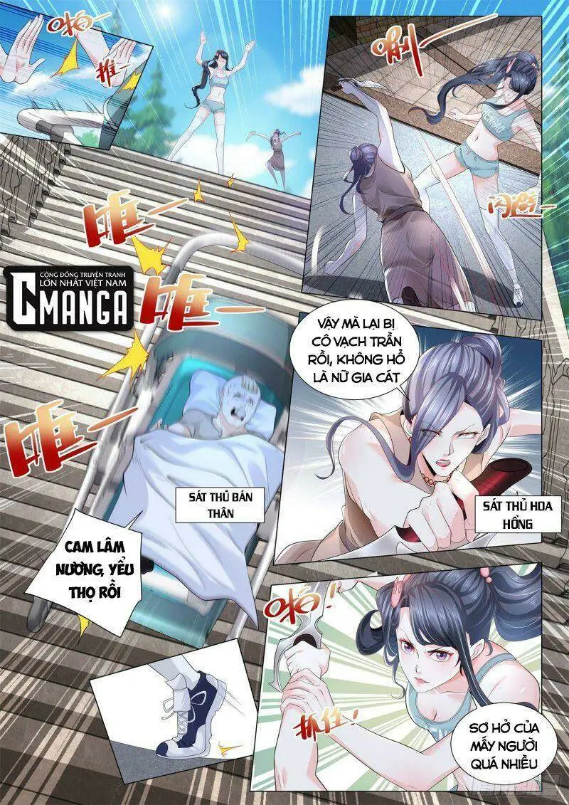 Chapter 305