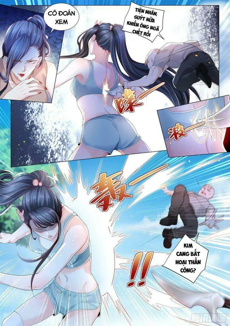 Chapter 305