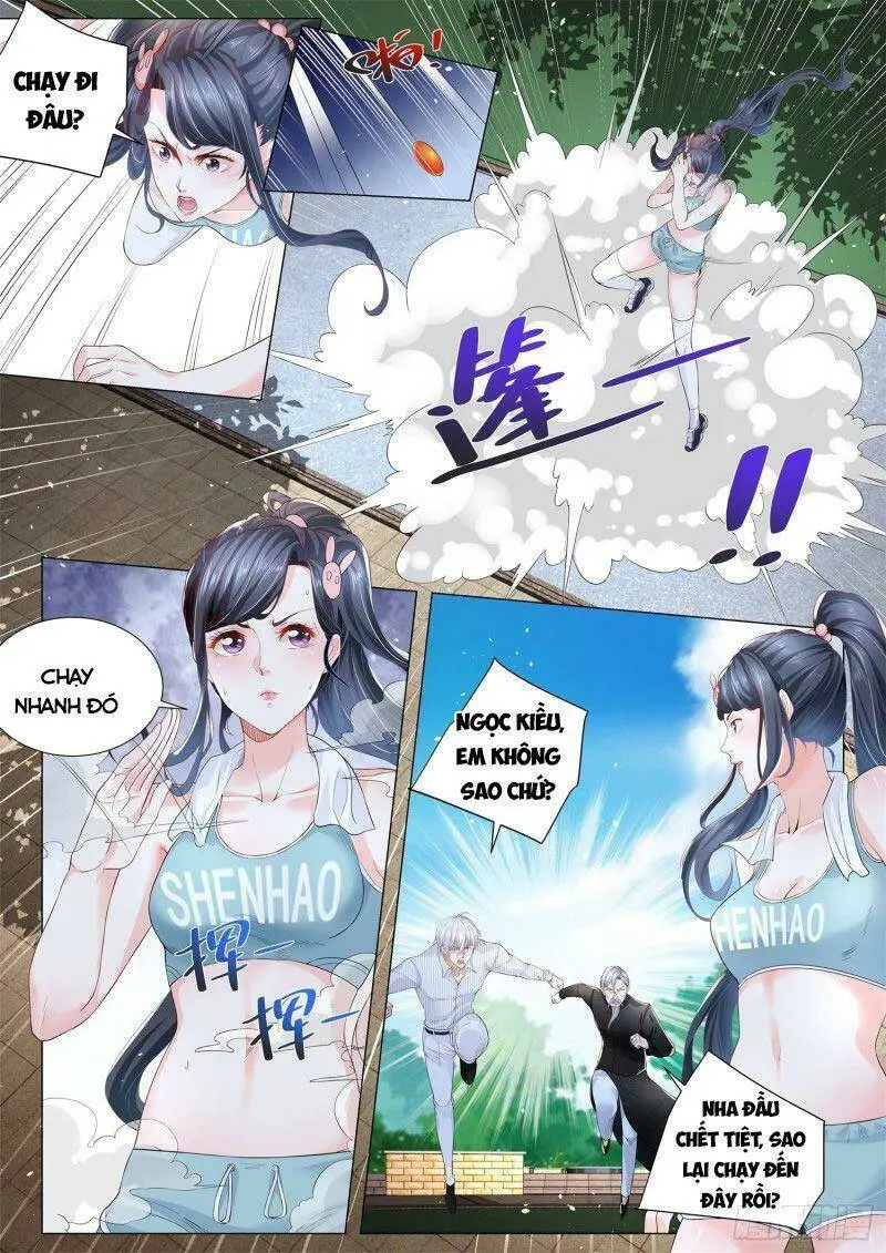 Chapter 305