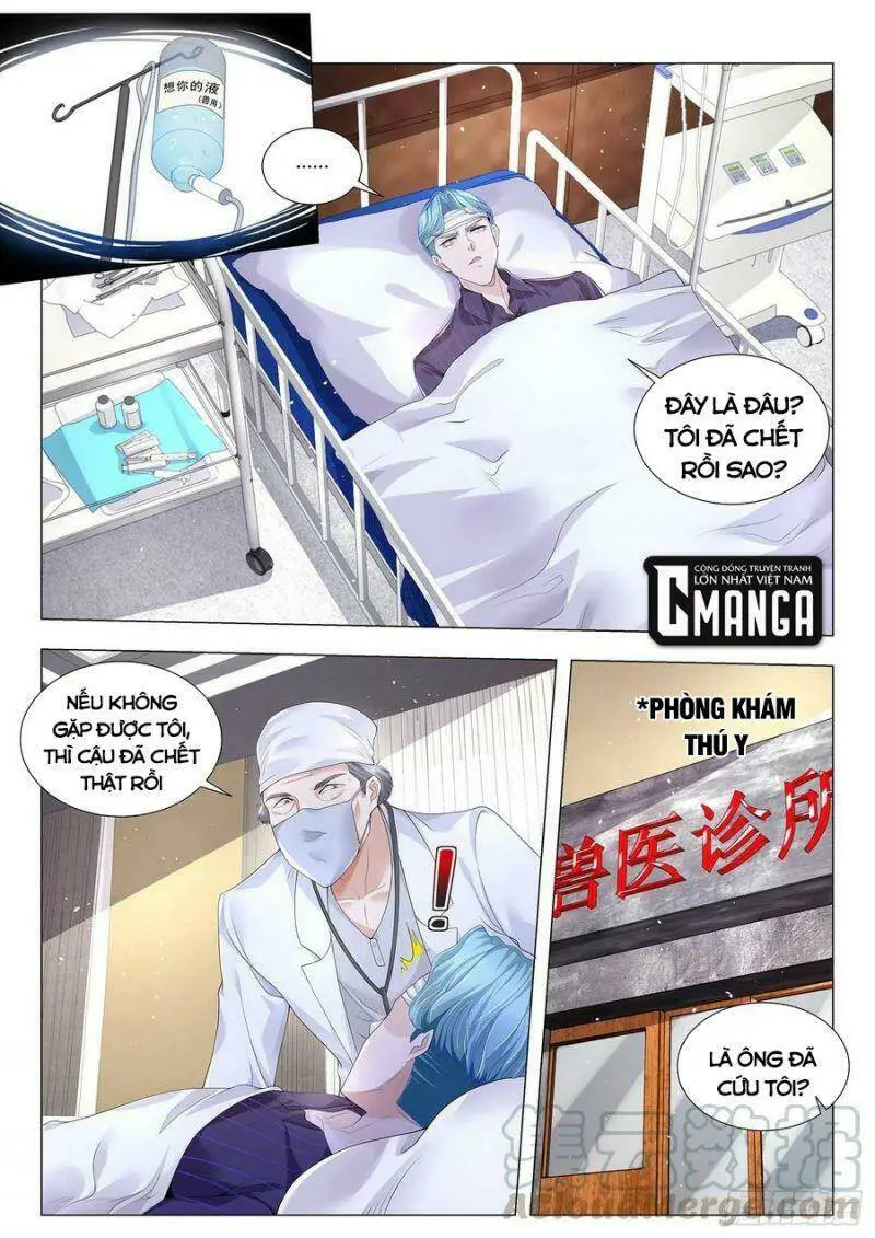 Chapter 304