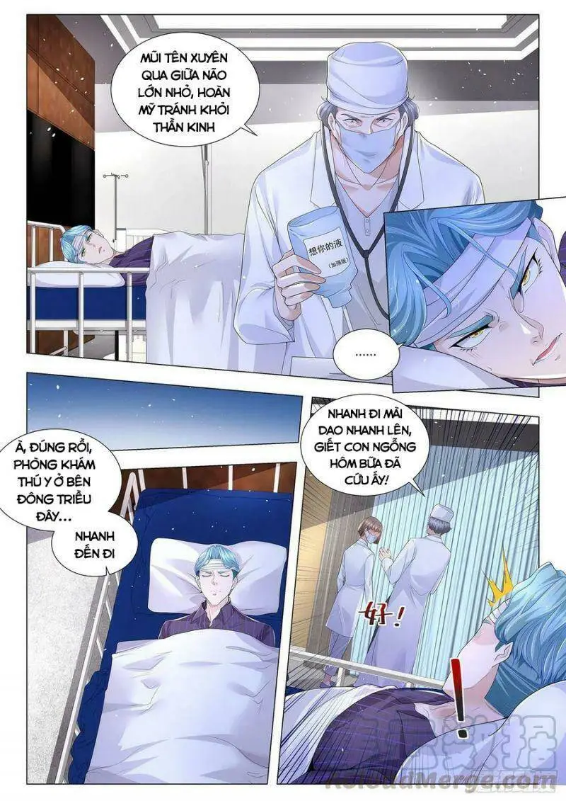 Chapter 304