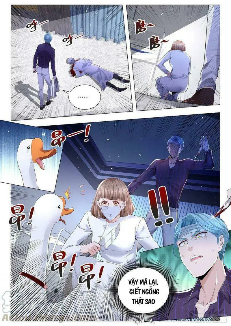 Chapter 304