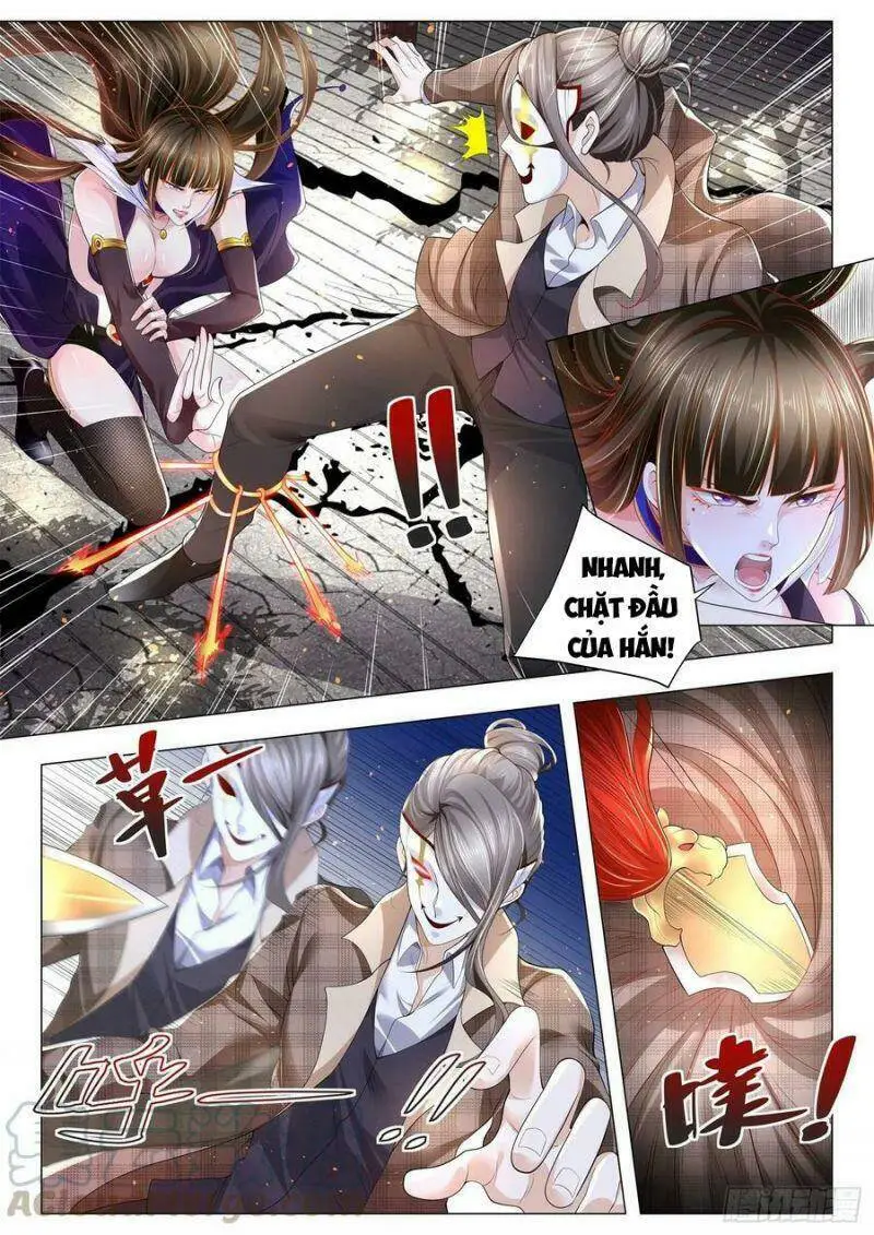 Chapter 301